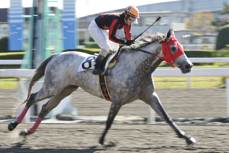 03R_Wakakoma-Silver&有年騎手_091118船橋_C3選抜牝馬(7.5F)_23890.jpg