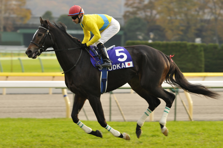 10R_Vodka&C.Lemaire_091129-Tokyo_29th-The-Japan-Cup(GⅠ-12F)_24892.jpg